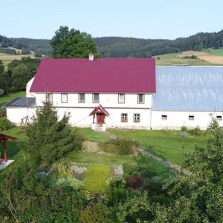 Pod Kasztanem Gospodarstwo Agroturystyczne Stronie Slaskie Ngoại thất bức ảnh