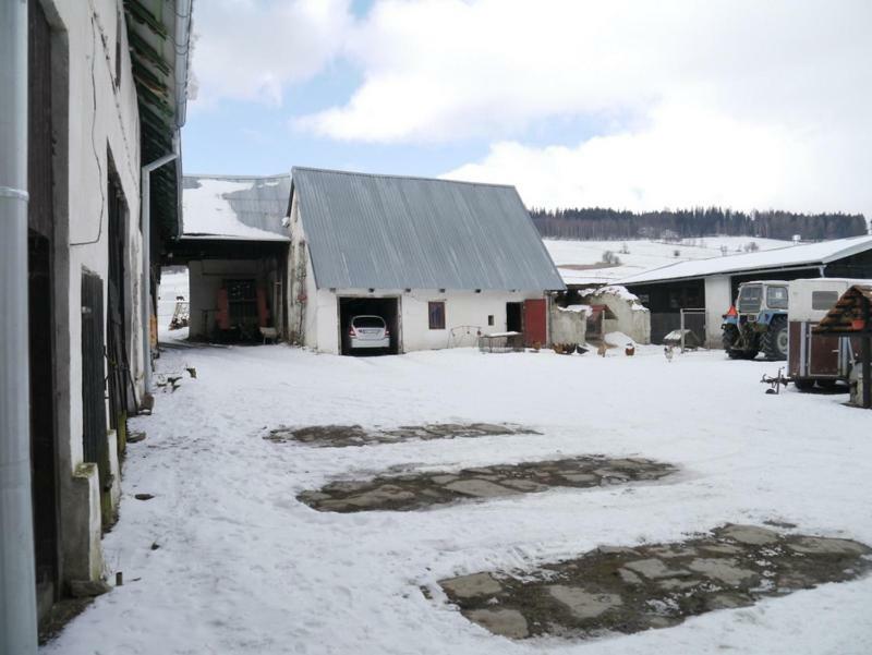 Pod Kasztanem Gospodarstwo Agroturystyczne Stronie Slaskie Ngoại thất bức ảnh