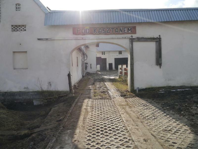 Pod Kasztanem Gospodarstwo Agroturystyczne Stronie Slaskie Ngoại thất bức ảnh